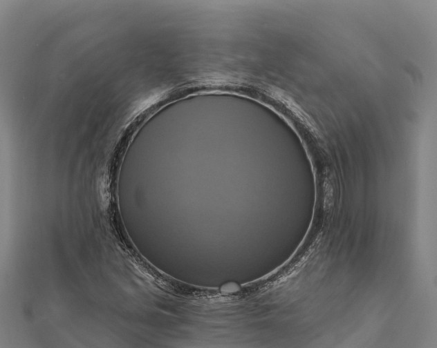 X0000112101213200908181318