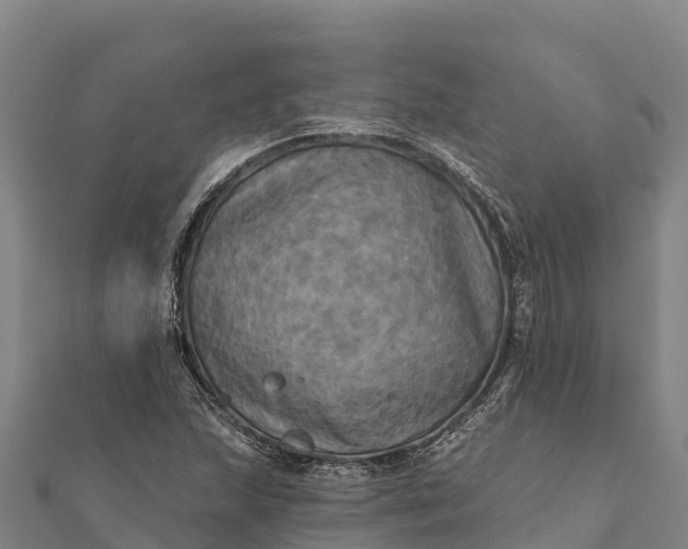 X0000112101215200908181318