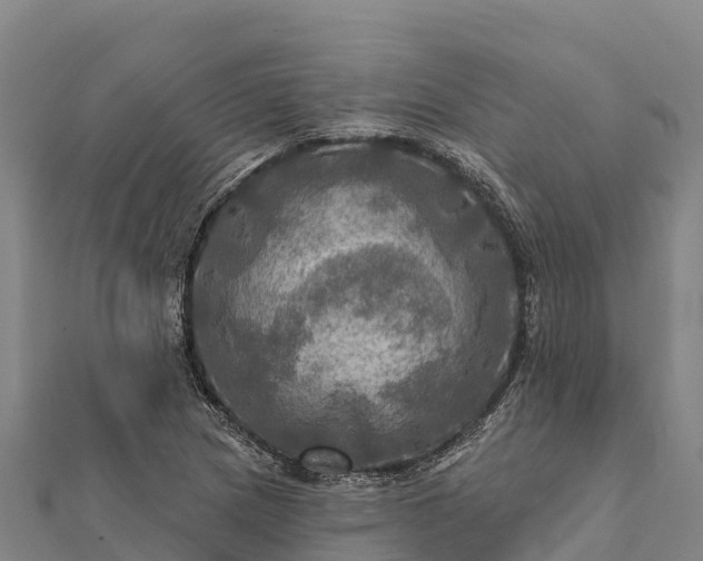 X0000112101217200908181318