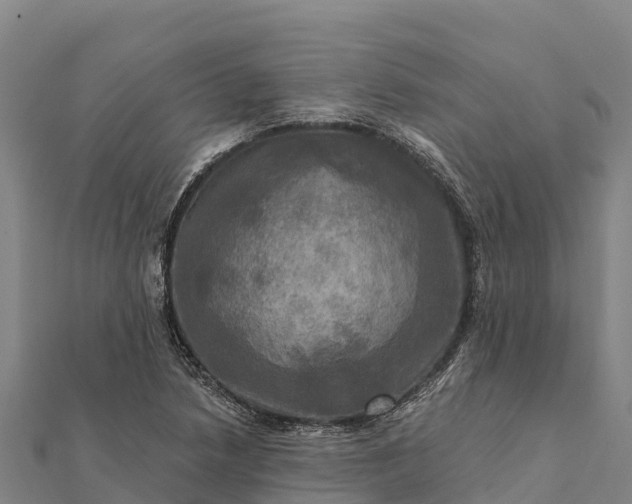 X0000112101218200908181318