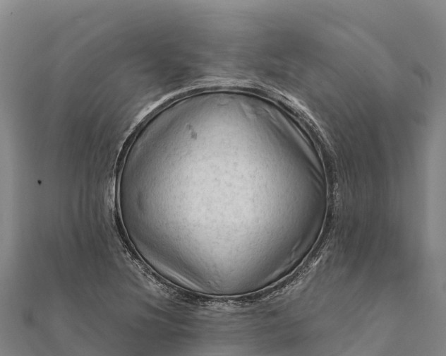 X0000112101220200908181318