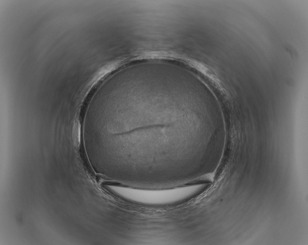 X0000112101221200908181318