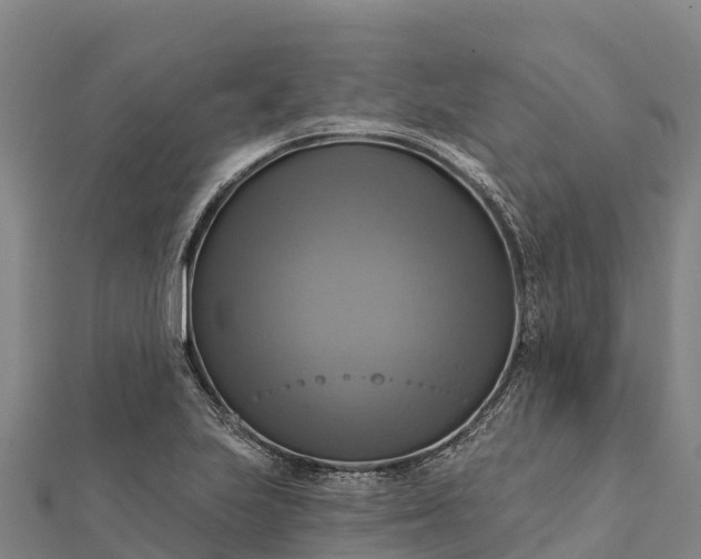 X0000112101223200908181318