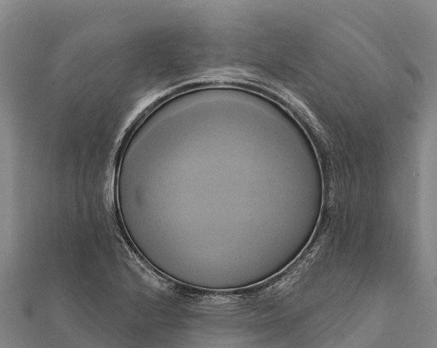 X0000112101224200908181318