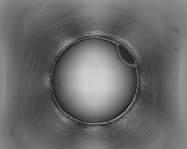 X0000112101225200908181318