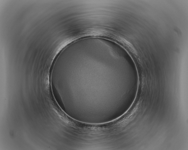X0000112101226200908181318