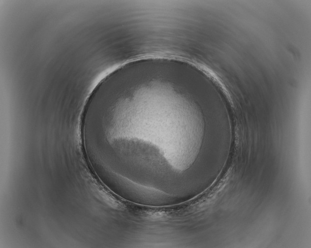 X0000112101230200908181318