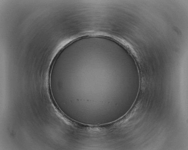 X0000112101231200908181318