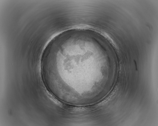 X0000112101232200908181318