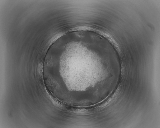 X0000112101233200908181318