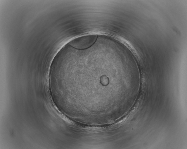 X0000112101236200908181318