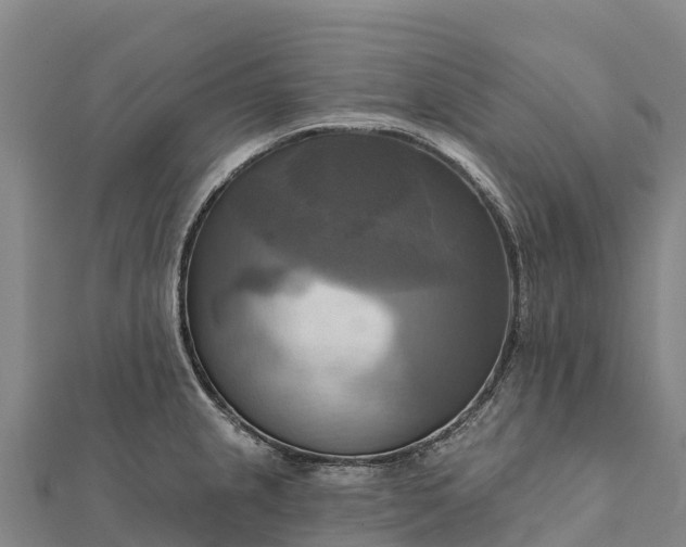 X0000112101237200908181318