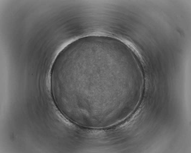 X0000112101238200908181318