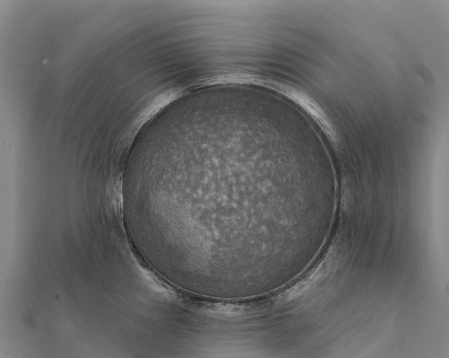 X0000112101241200908181318