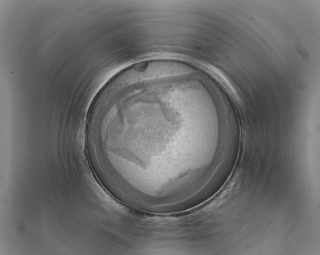 X0000112101244200908181319