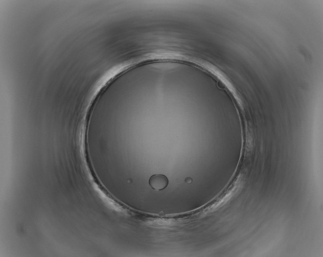 X0000112101245200908181319