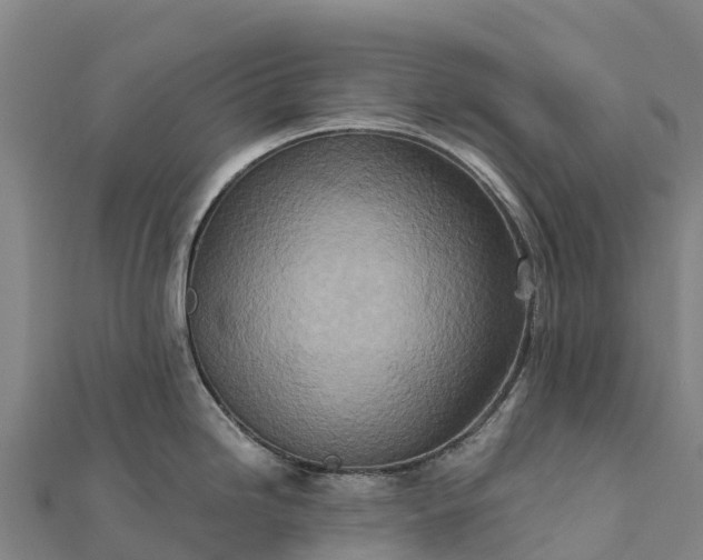 X0000112101246200908181319