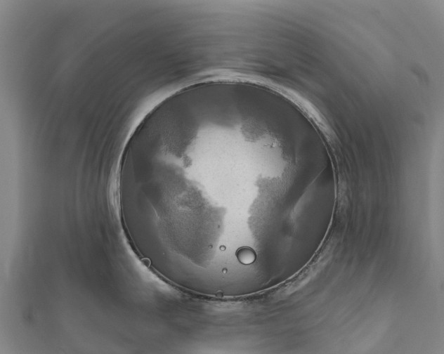 X0000112101247200908181319