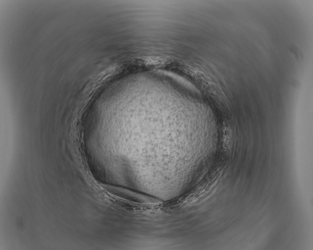X0000112101249200908181318