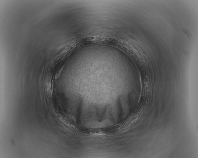 X0000112101250200908181318