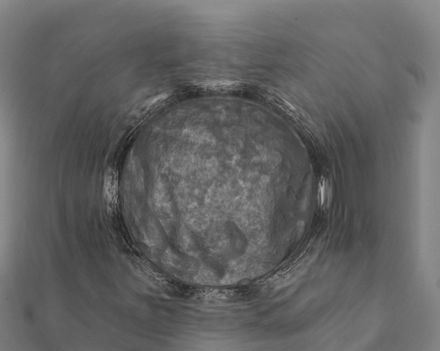 X0000112101251200908181318
