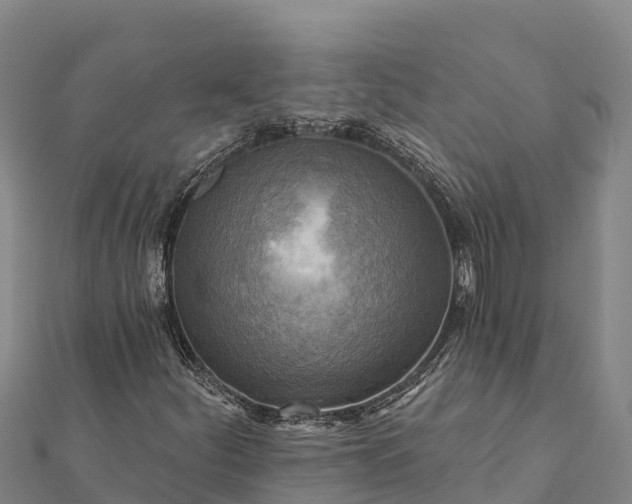 X0000112101252200908181318