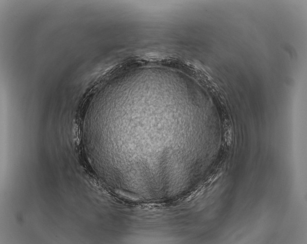 X0000112101253200908181318