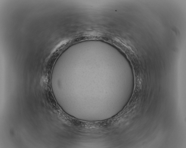 X0000112101254200908181318
