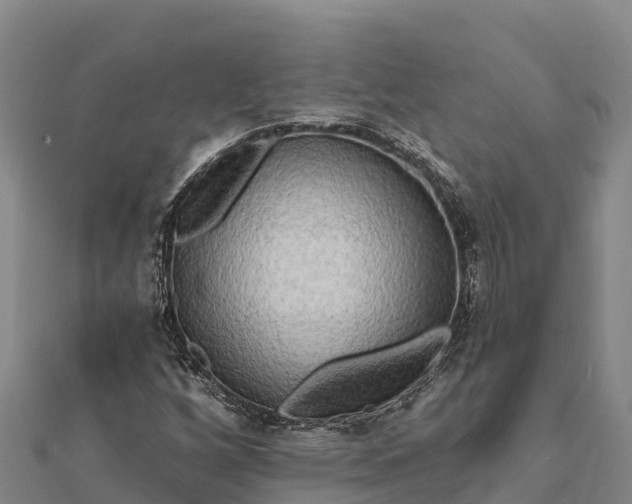 X0000112101256200908181318