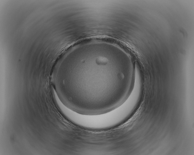 X0000112101257200908181318
