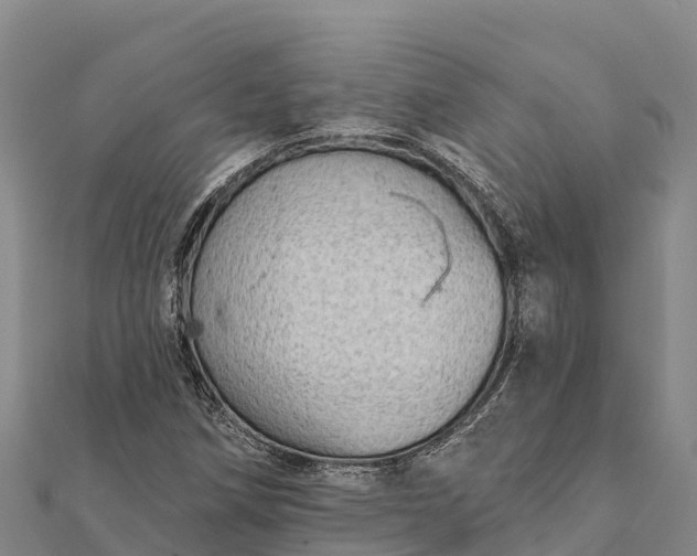X0000112101258200908181318
