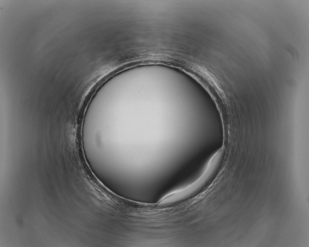 X0000112101260200908181317