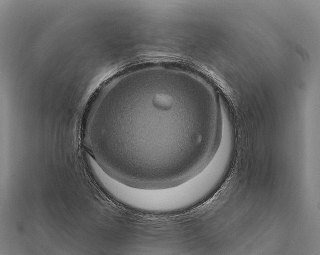 X0000112101261200908181317