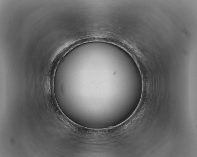 X0000112101262200908181317