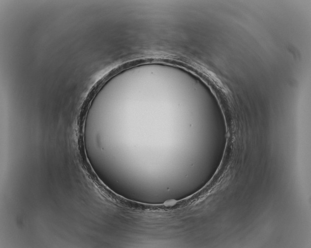 X0000112101264200908181317