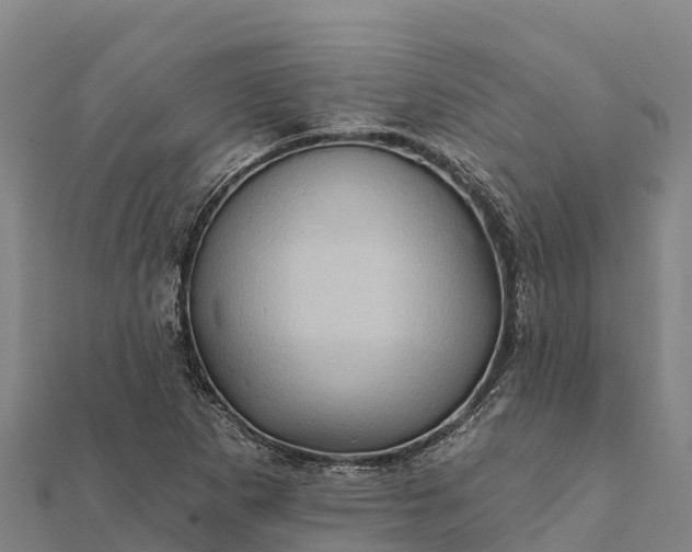 X0000112101265200908181317