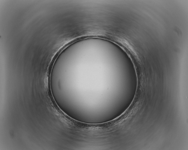 X0000112101268200908181317