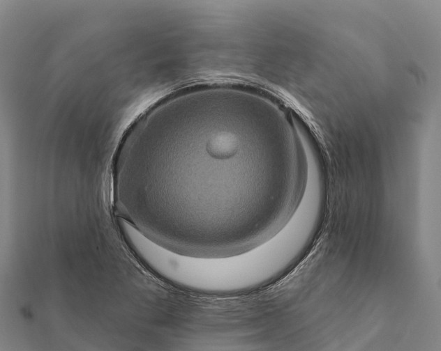 X0000112101269200908181317