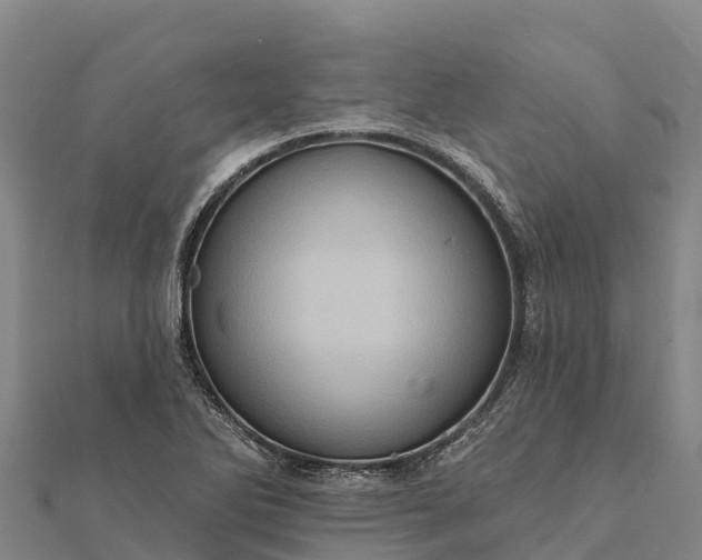 X0000112101270200908181317