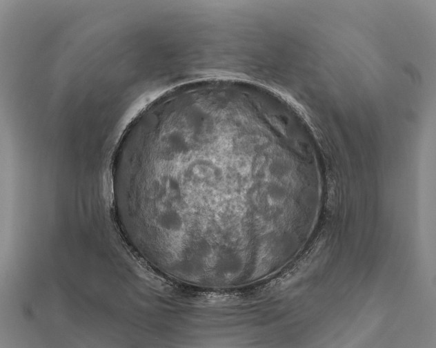 X0000112101271200908181317