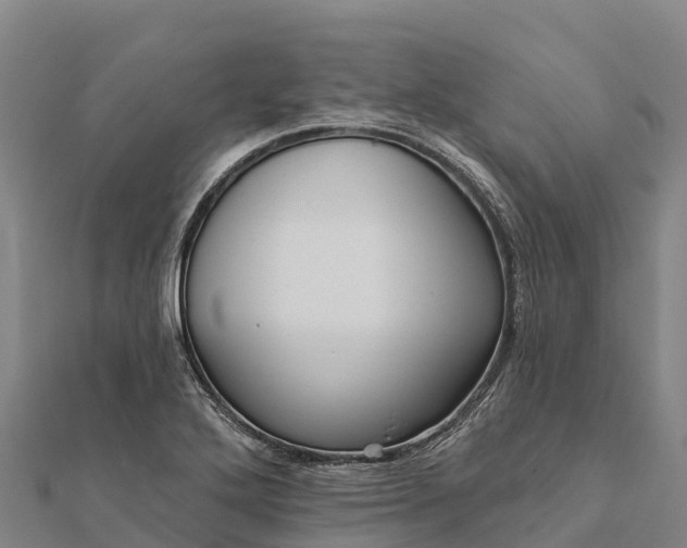 X0000112101272200908181317