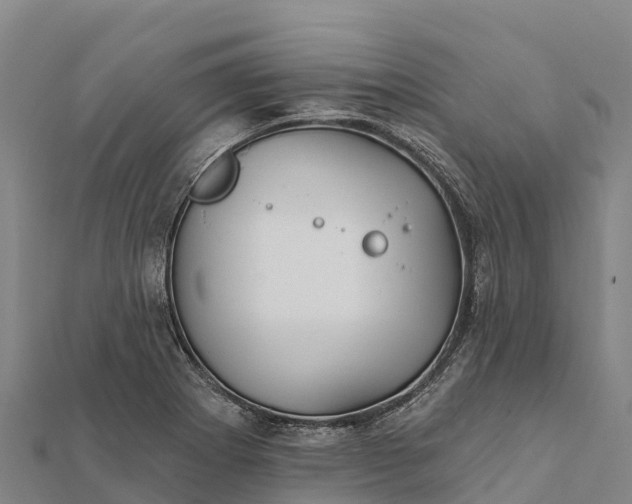 X0000112101273200908181317