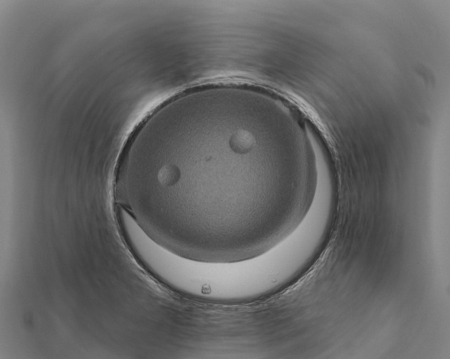 X0000112101277200908181317