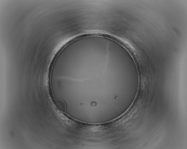X0000112101279200908181317