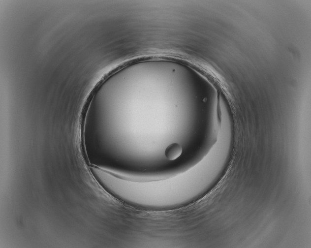 X0000112101280200908181317