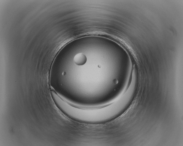 X0000112101281200908181317