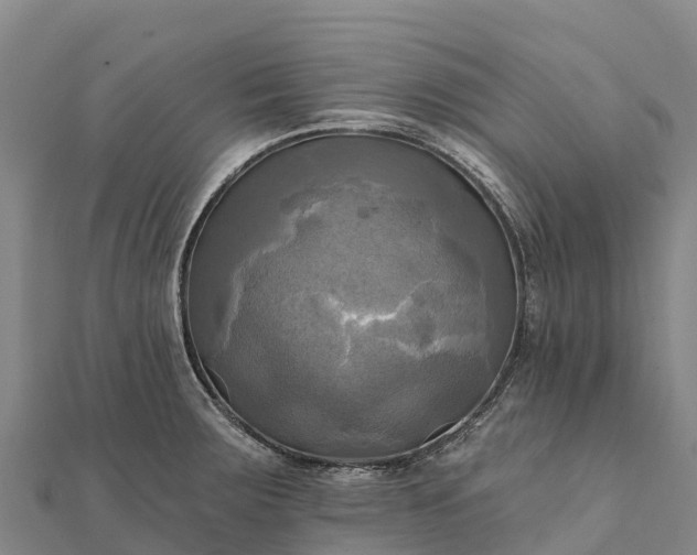 X0000112101283200908181317
