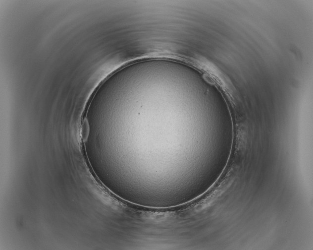 X0000112101284200908181317