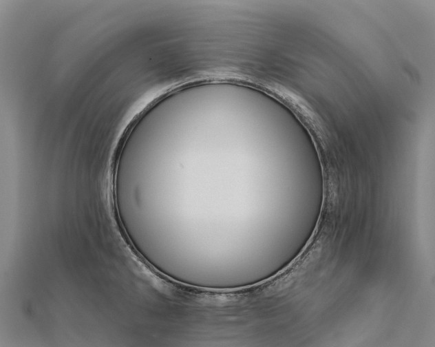 X0000112101286200908181317