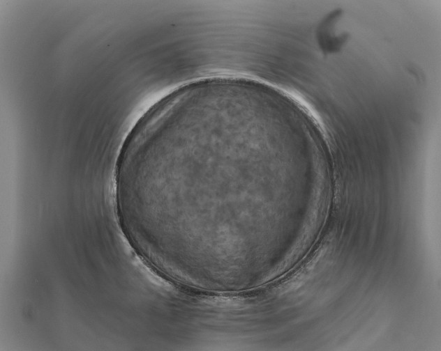 X0000112101287200908181317